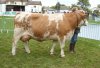 montigny 2010 mamelle adulte